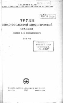 Миниатюра