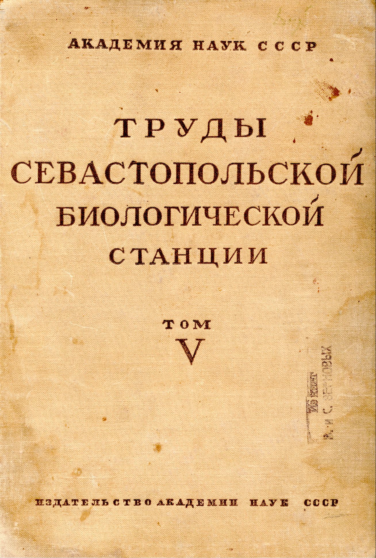 Collection Logo