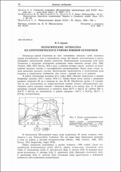 Миниатюра