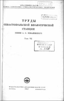 Миниатюра
