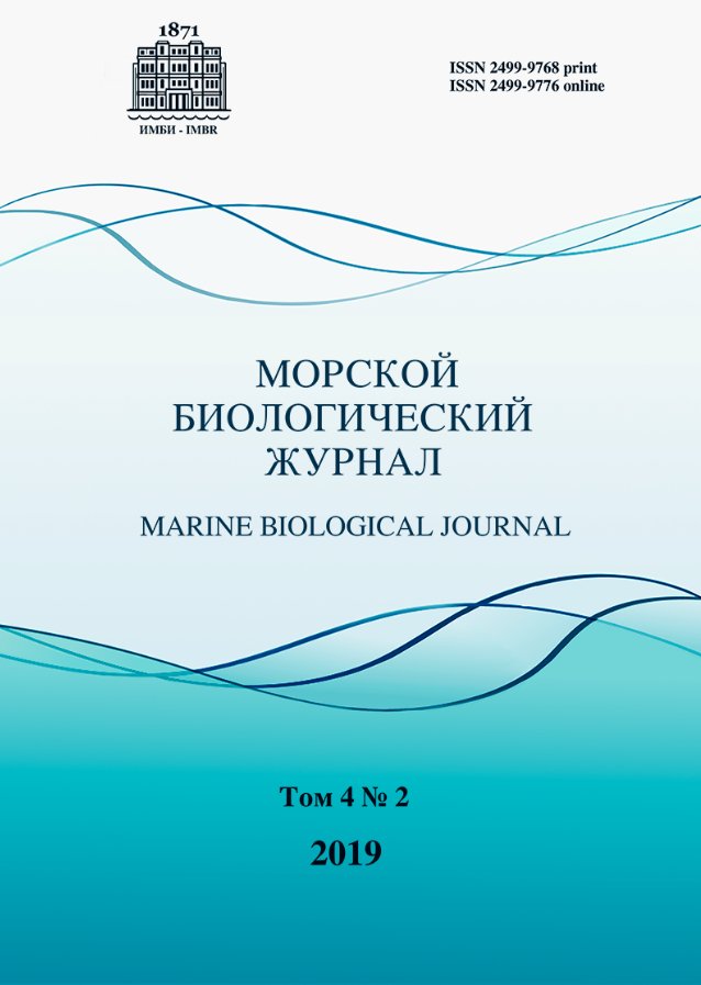 Collection logo