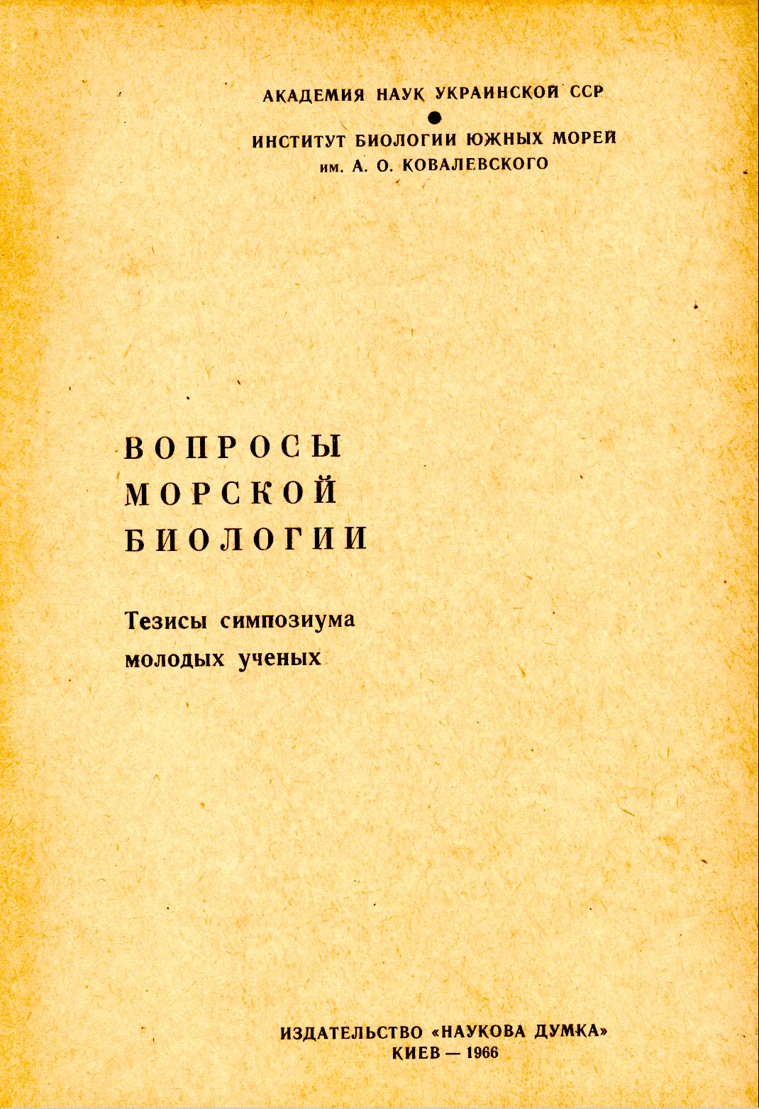 Collection logo