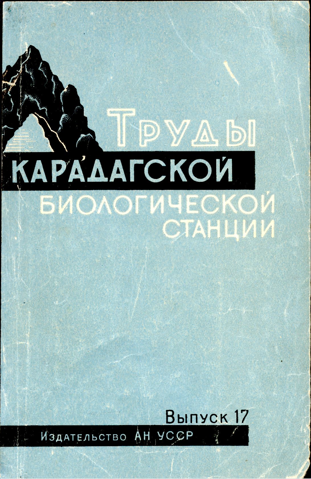 Collection logo