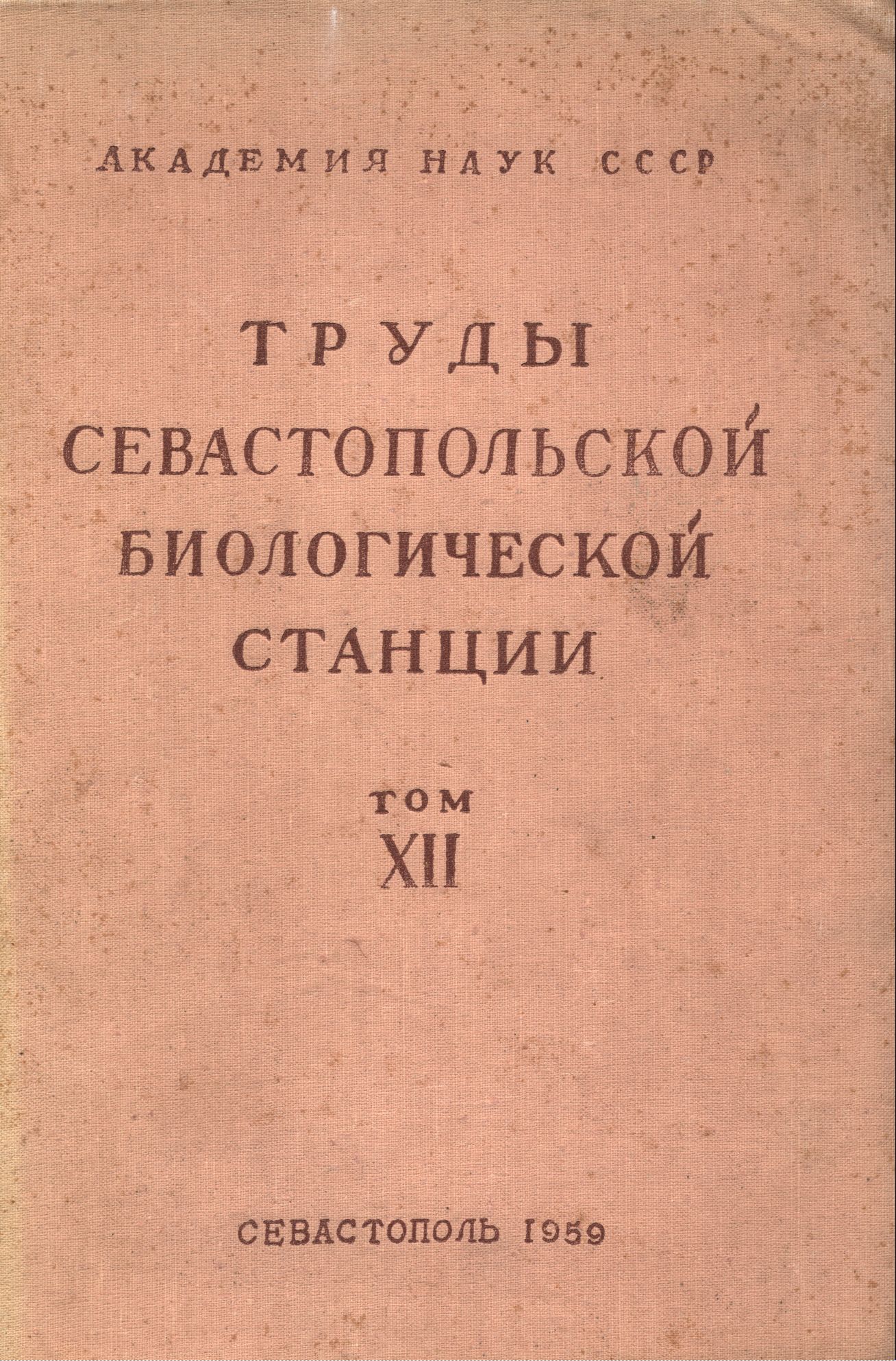 Collection logo